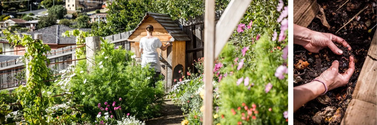 productive backyard gardening