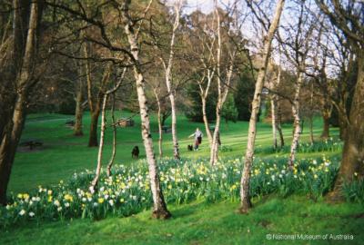 Spring in Cascade Gardens