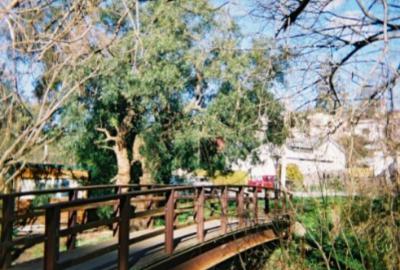 MacFarlane Street Bridge  -  South Hobart Rivulet  Linear Park
