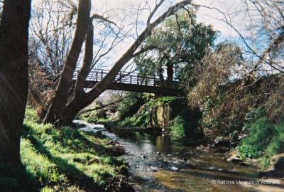 Willows on the Hobart Rivulet  (showing earlier bridge abuttments)  -  South Hobart Rivulet Linear Park