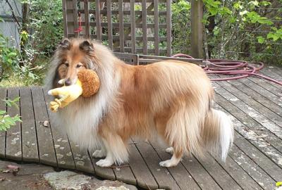 At home with Rebel Sandford