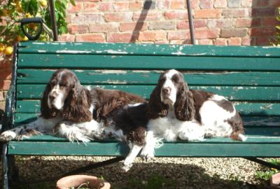 Carly and Brittany Green