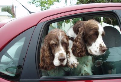 Two Back Seat Drivers