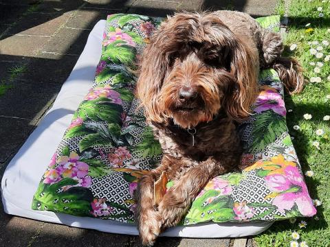 Cleo Saltmarsh Seaview Cottage