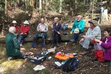 Friends of Wellington Park bushcare group